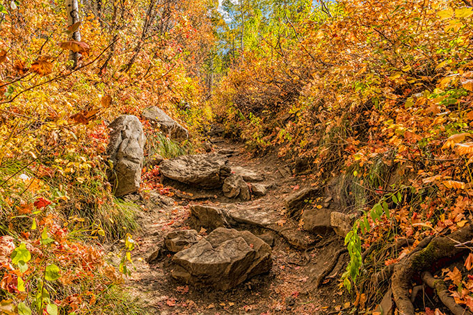 mill b south trail3