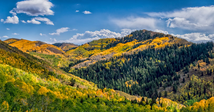 autum in butler basin